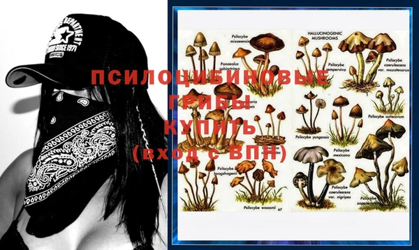 каннабис Вязники