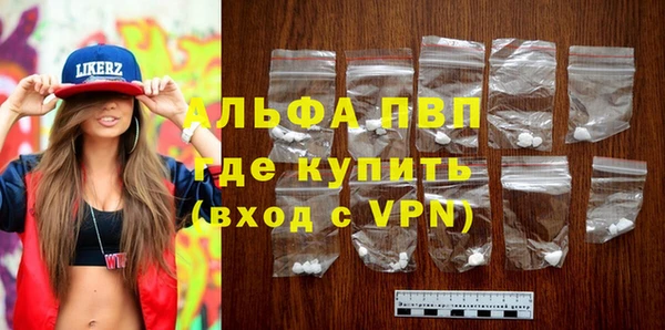стаф Вяземский