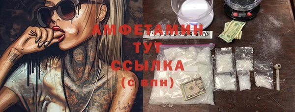 стаф Вяземский