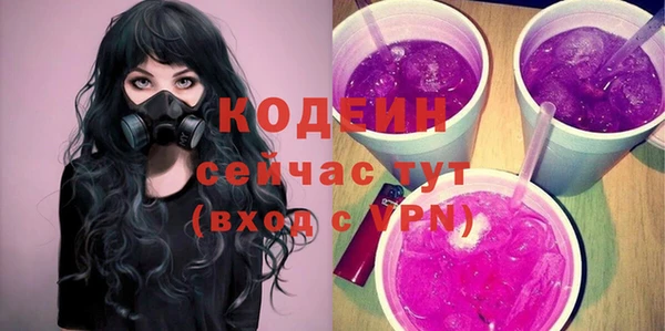 стаф Вяземский