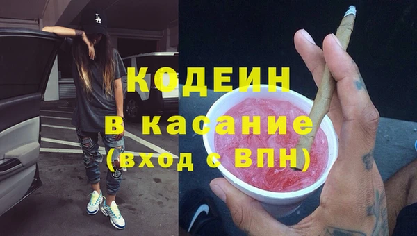 шишки Щучье