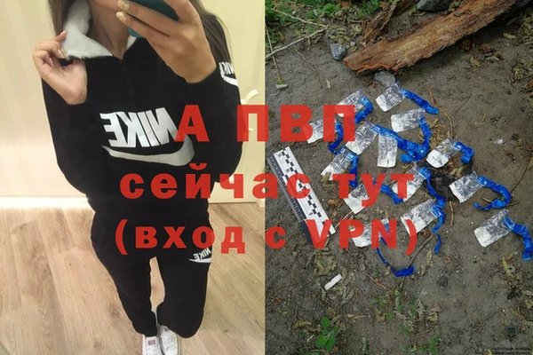 стаф Вяземский