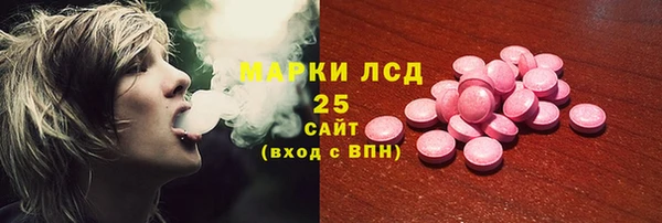 стаф Вяземский